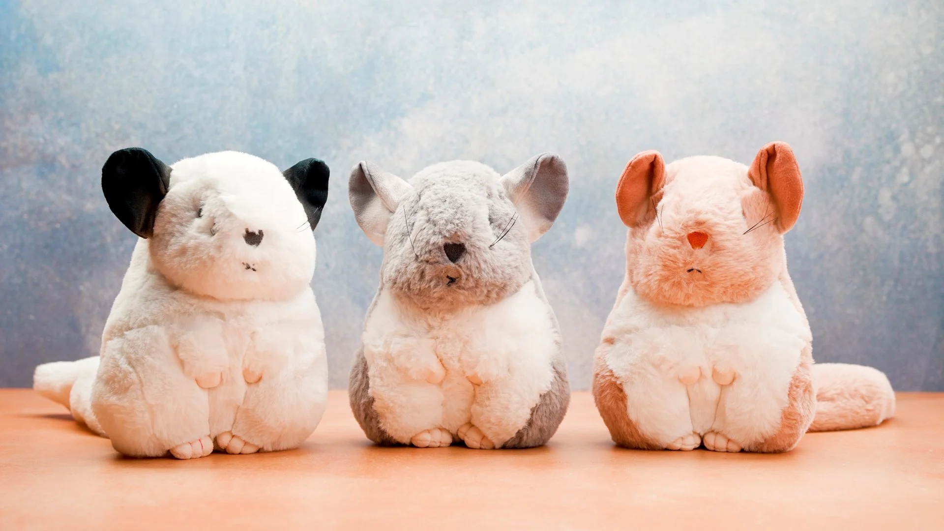 Hallmark Store 1 Hallmark Store -Hallmark Store AdofChiChiStill2