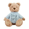 Mud Pie Big Bro Bear Plush, 11" -Hallmark Store Big Brother Bear Stuffed Animal in Blue Sweater 12110391B 01