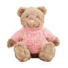 Mud Pie Big Sis Bear Plush, 11" -Hallmark Store Big Sister Bear Stuffed Animal in Pink Sweater 12110391S 01
