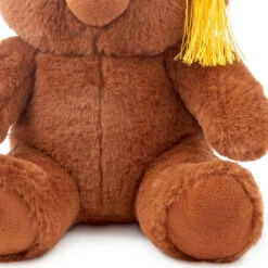 Hallmark 2025 Graduation Bear Plush, 8" -Hallmark Store Brown Bear Stuffed Animal With 2025 Grad Cap 1MJG6068 04