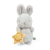 Bunnies By The Bay Sweet Bloom Bunny Stuffed Animal With Toy Sun, 9" -Hallmark Store Bunnies by the Bay Gray Bunny Stuffed Animal With Toy Sun 104327 01