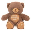 Hallmark You Are Wonderfully Made Teddy Bear Plush, 8" -Hallmark Store Dark Brown Teddy Bear With Bible Quote Embroidery 1KFA4003 01