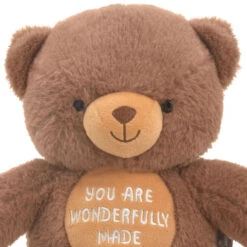 Hallmark You Are Wonderfully Made Teddy Bear Plush, 8" -Hallmark Store Dark Brown Teddy Bear With Bible Quote Embroidery 1KFA4003 04