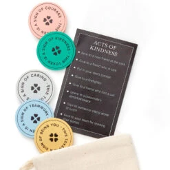 Hallmark Little World Changers™ And Kind Culture Co. The Doll Kind Boy, 12" -Hallmark Store Little World Changers Medium Skin Boy Doll With Tokens 1KID2087 05