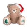 Hallmark My First Christmas Teddy Bear Plush, 10" -Hallmark Store My First Christmas Plush Bear With Santa Hat 1KCX3013 01