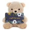 Hallmark Bear Plush Gift Card Holder 1 Hallmark Bear Plush Gift Card Holder -Hallmark Store Plush Teddy Bear Gift Card Holder With Wire Arms 1KGC1005 01