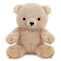 Hallmark Bear Plush Gift Card Holder -Hallmark Store Plush Teddy Bear Gift Card Holder With Wire Arms 1KGC1005 02