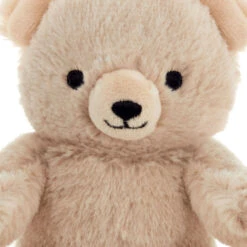 Hallmark Bear Plush Gift Card Holder -Hallmark Store Plush Teddy Bear Gift Card Holder With Wire Arms 1KGC1005 04