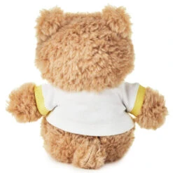 Hallmark Welcome Baby Recordable Teddy Bear Stuffed Animal, 8.75" -Hallmark Store Welcome Baby Recordable Teddy Bear Plush 1BBY4793 02